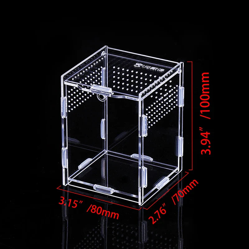 clear acrylic reptile breeding box