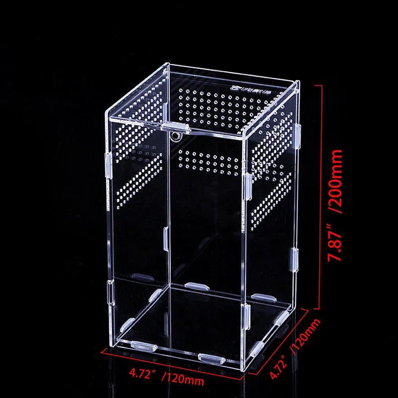 clear acrylic reptile breeding box