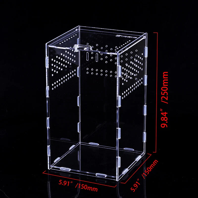 clear acrylic reptile breeding box