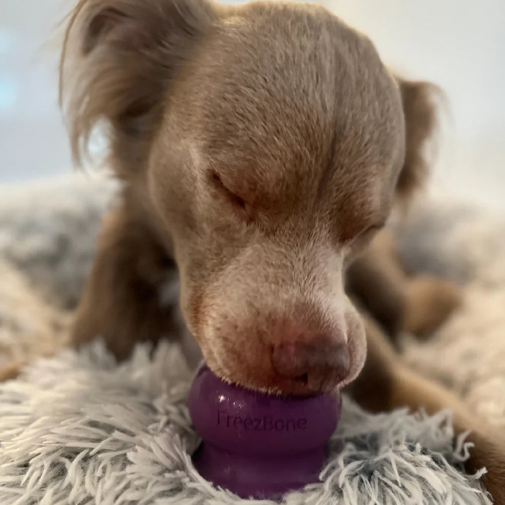 freezbone - fillable dog chew bone