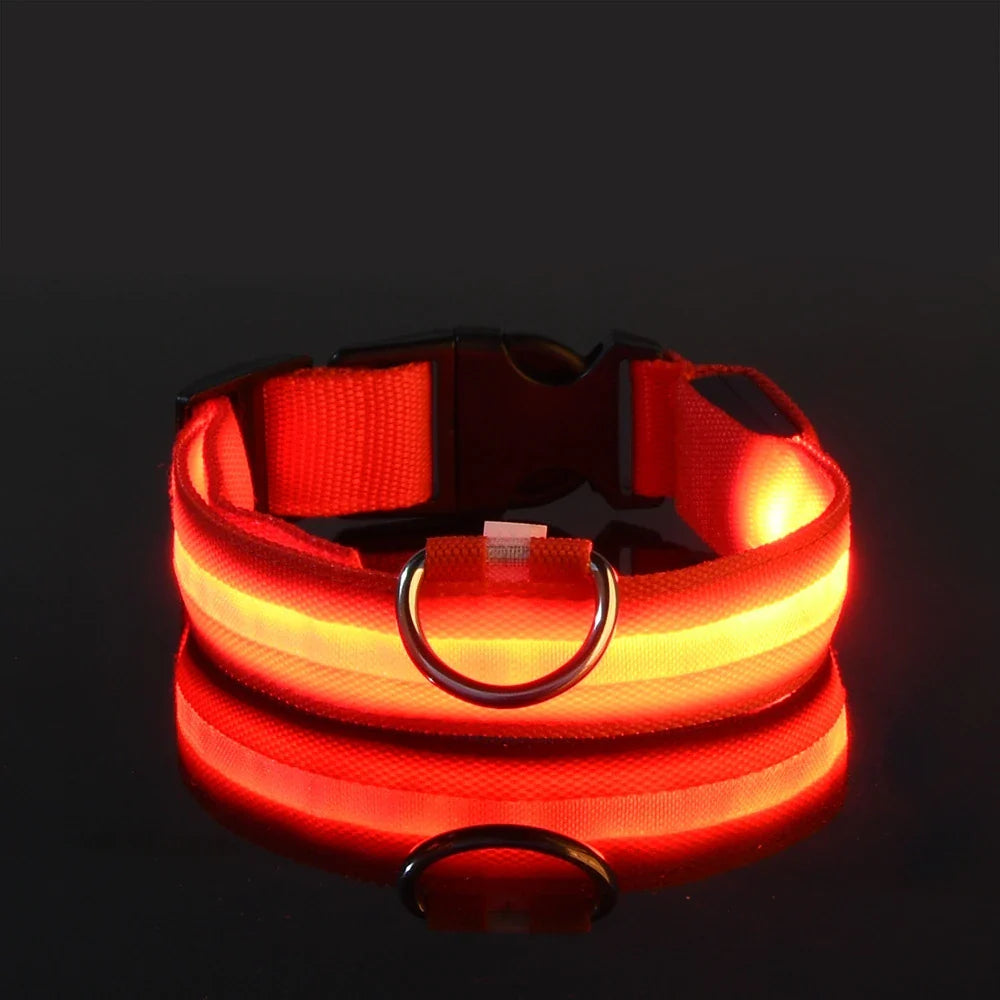 nylon led night safety pet collar
