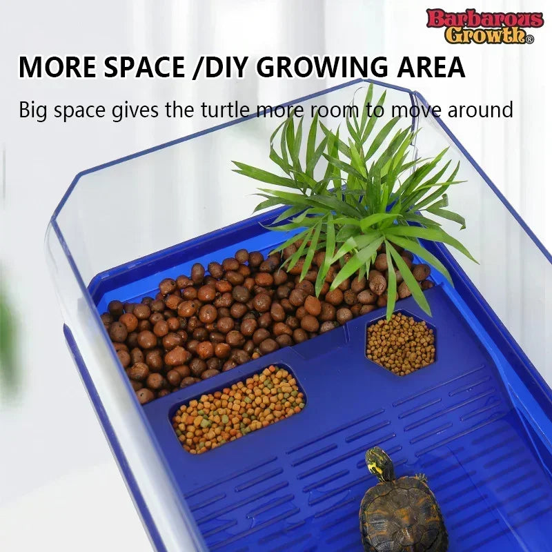 transparent turtle tank habitat