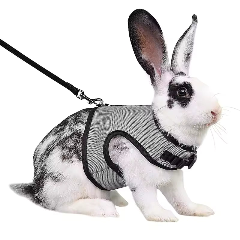 stylish vest small pet carrier