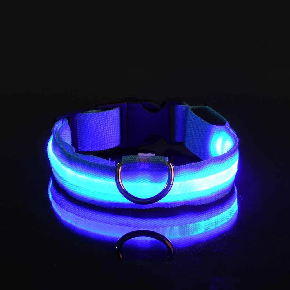 nylon led night safety pet collar