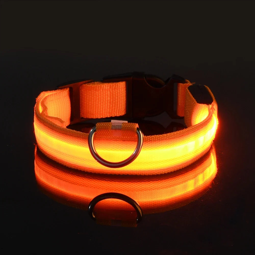 nylon led night safety pet collar