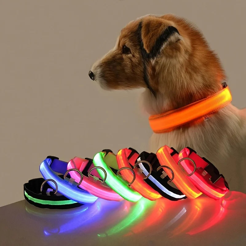 nylon led night safety pet collar