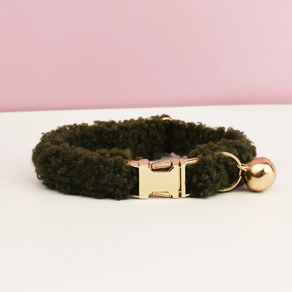 teddy cat collar with custom name plate