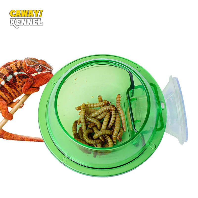 reptile anti-escape live insect feeder bowl