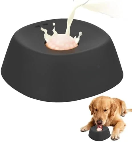 anti-choking slow feeder dog bowl