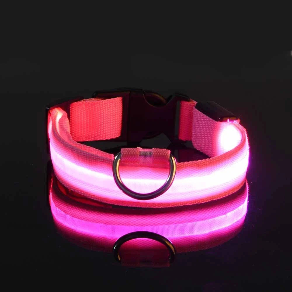 nylon led night safety pet collar