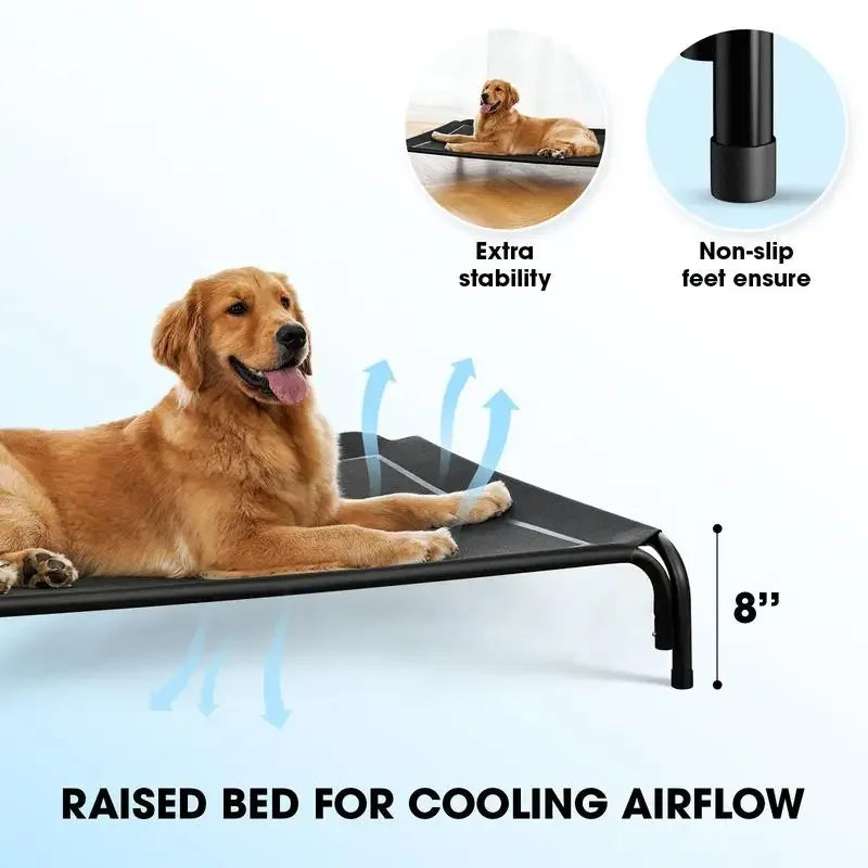 elevated dog bed