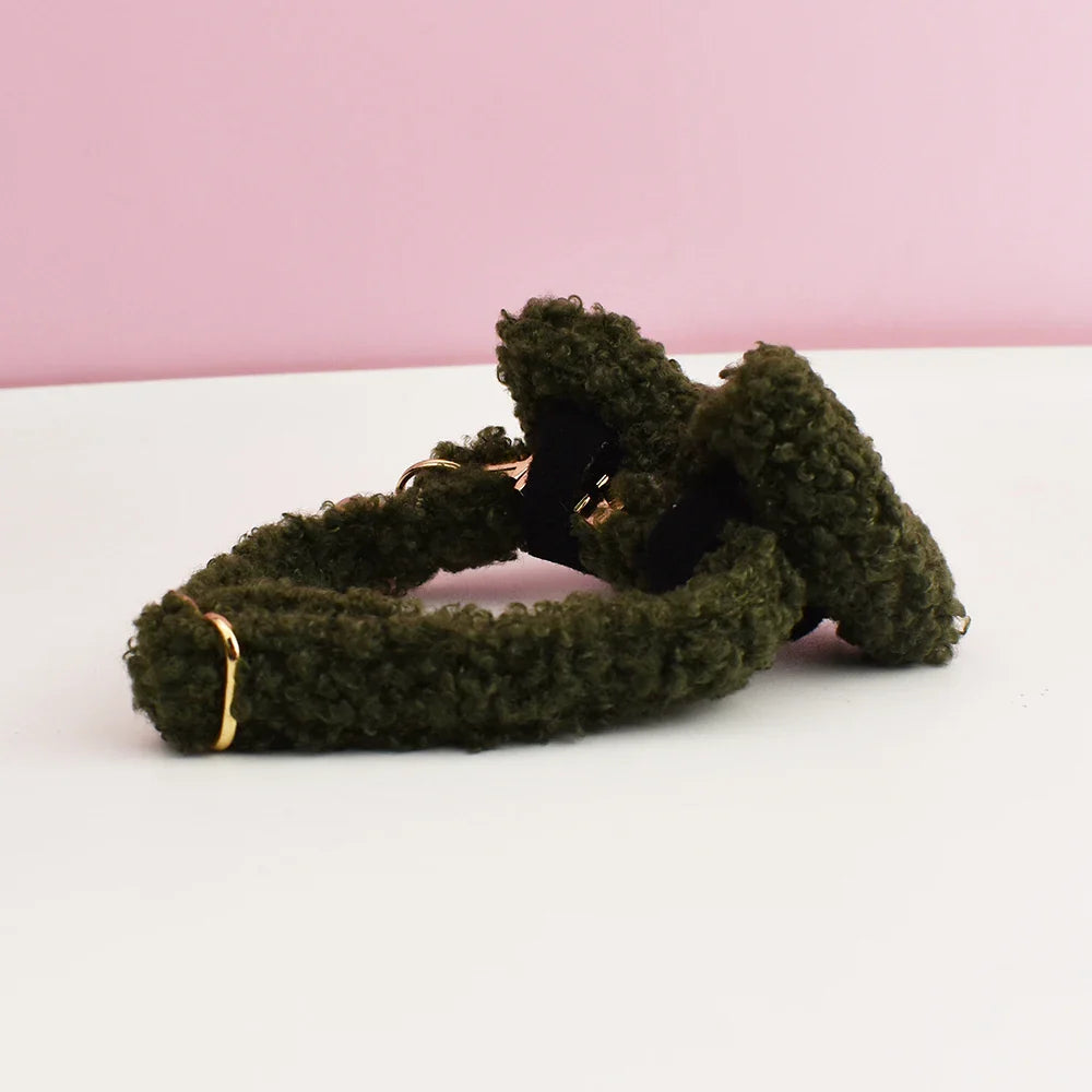 teddy cat collar with custom name plate