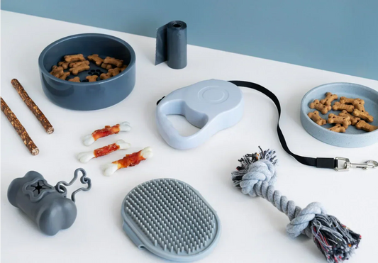 🐾 Why Every Pet Should Have an ID Tag (Even If They’re Microchipped)