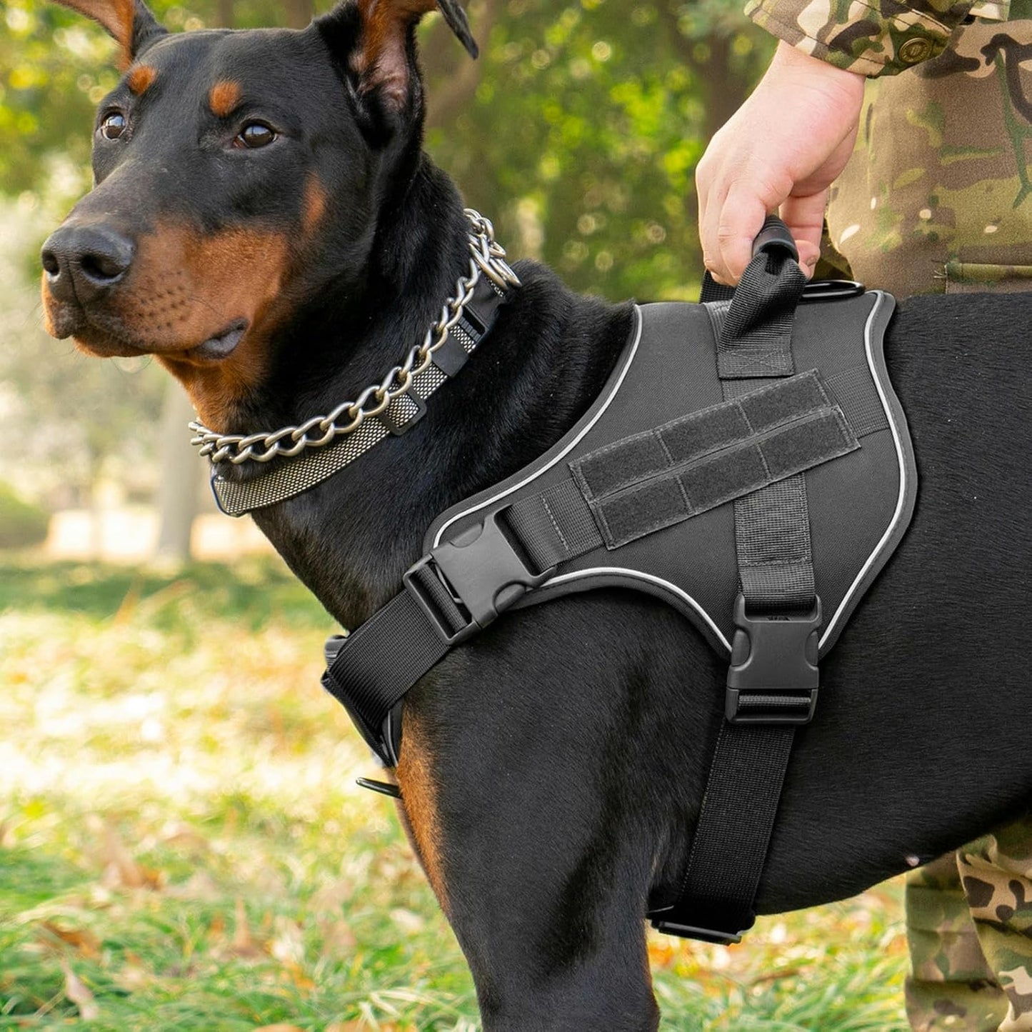 tactical dog harness