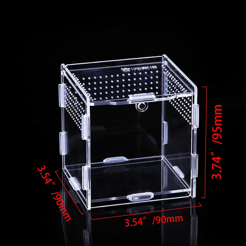 clear acrylic reptile breeding box