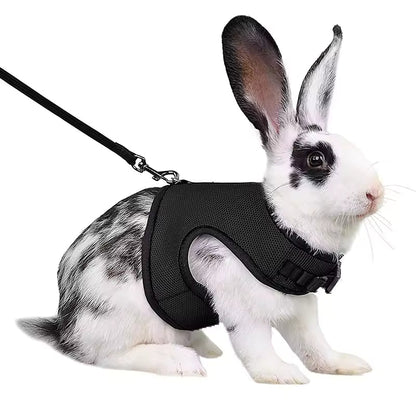 Stylish Vest Small Pet Carrier