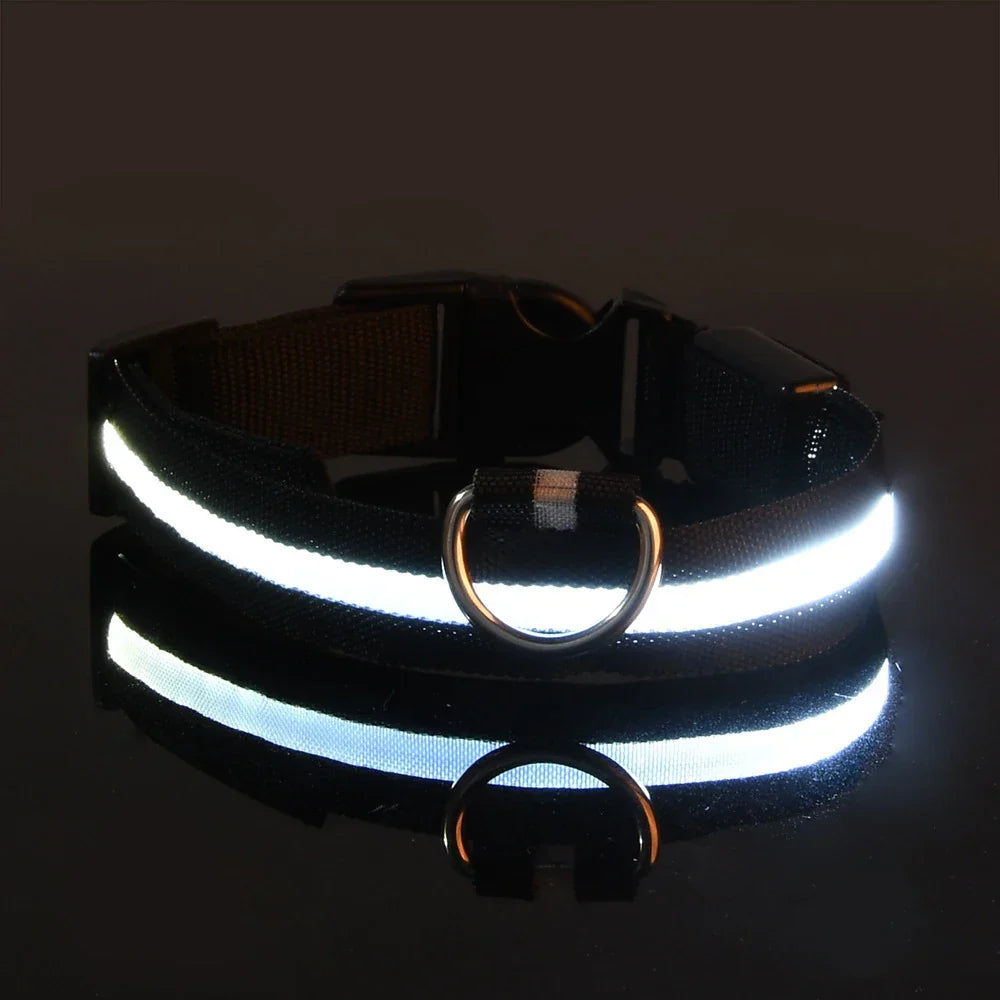 nylon led night safety pet collar