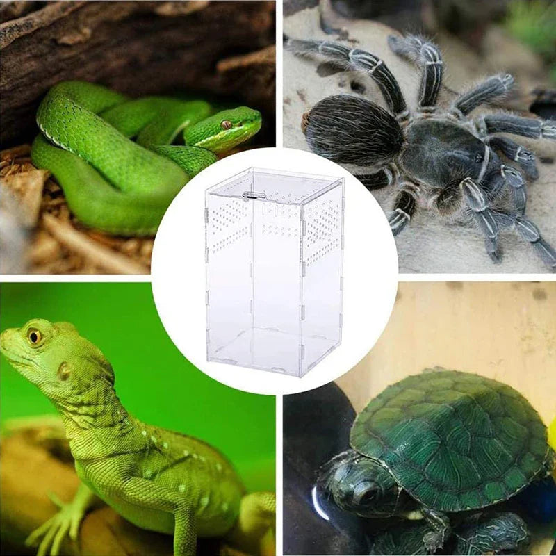 clear acrylic reptile breeding box