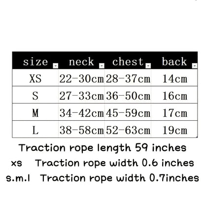 Adjustable Dog Harness & Leash Set