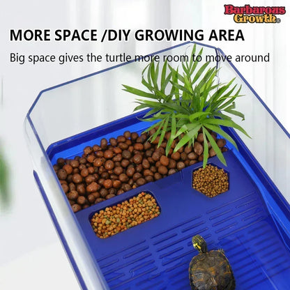 Transparent Turtle Tank Habitat