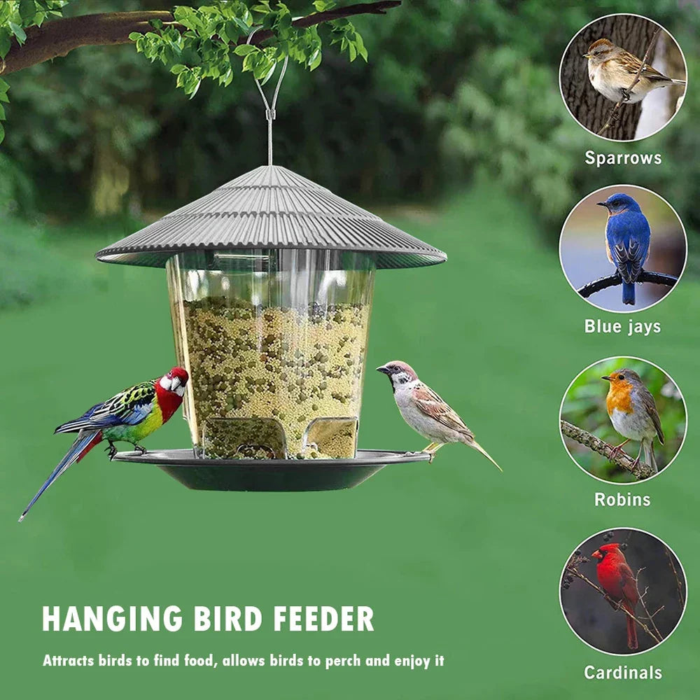 hanging window bird feeder house