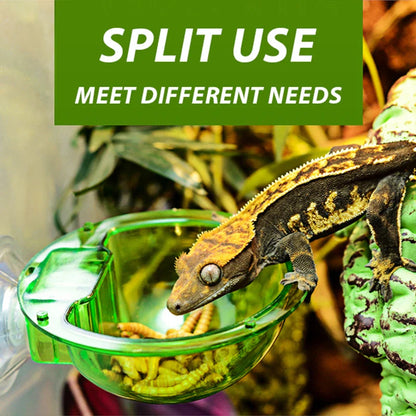 Reptile Anti-Escape Live Insect Feeder Bowl