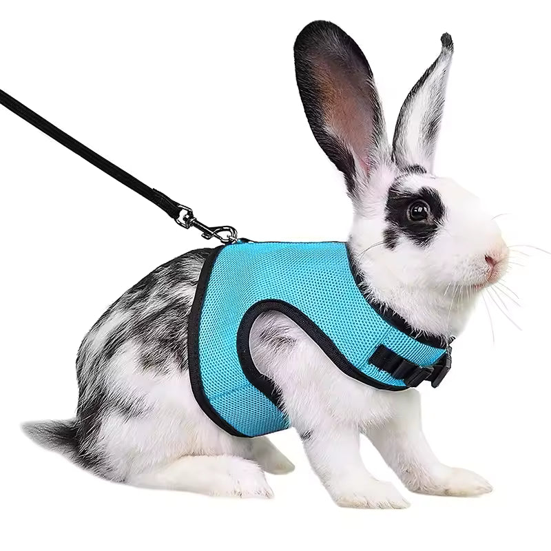 stylish vest small pet carrier
