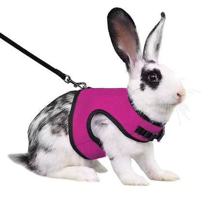 Stylish Vest Small Pet Carrier