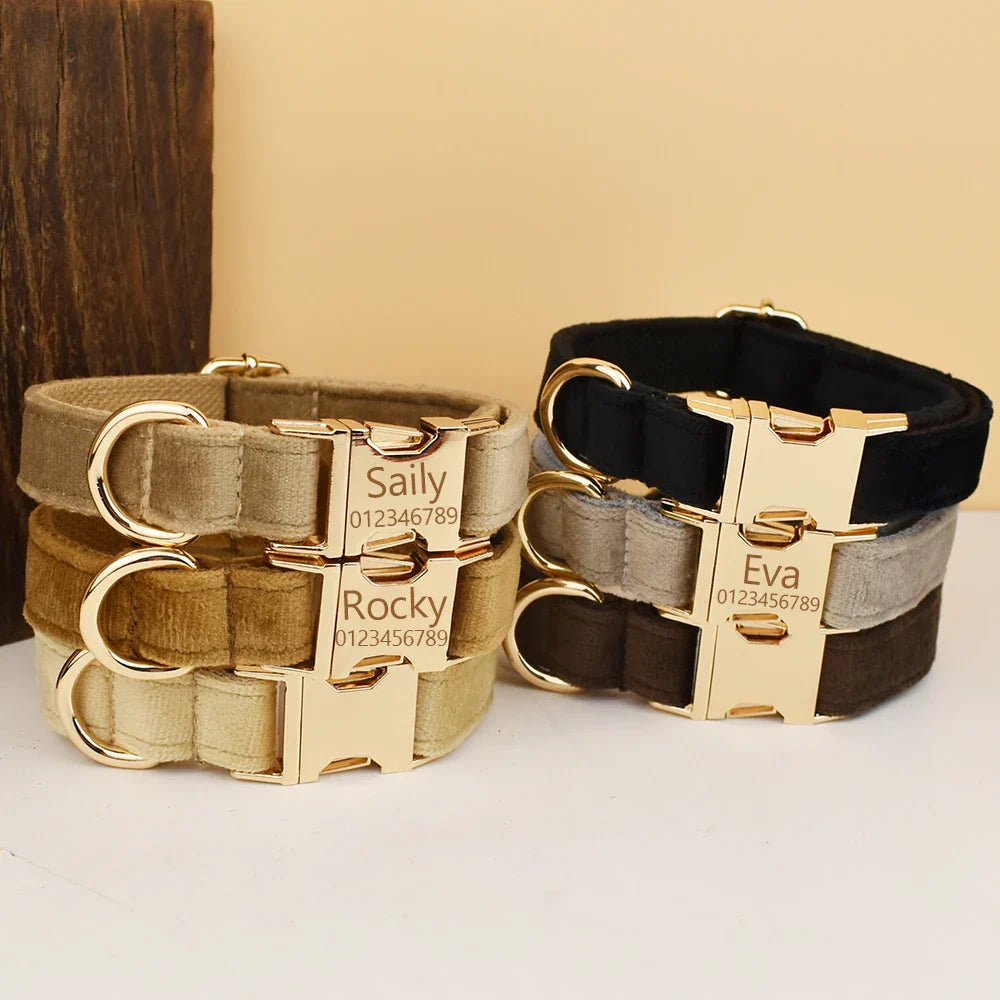 luxury personalised dog collar, harness & leash set
