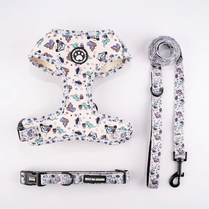 Adjustable Dog Harness & Leash Set