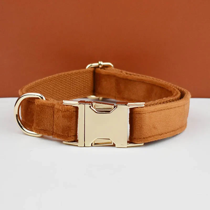 luxury personalised dog collar, harness & leash set