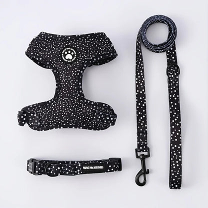 Adjustable Dog Harness & Leash Set