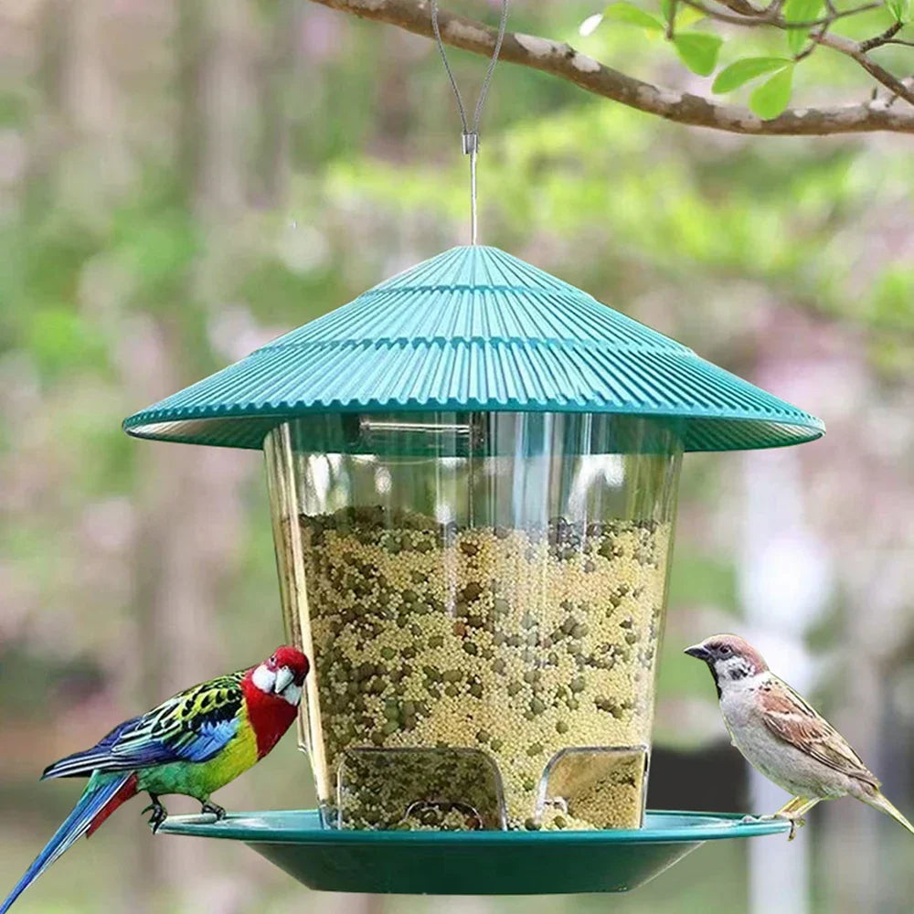 hanging window bird feeder house