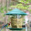 Hanging Window Bird Feeder House