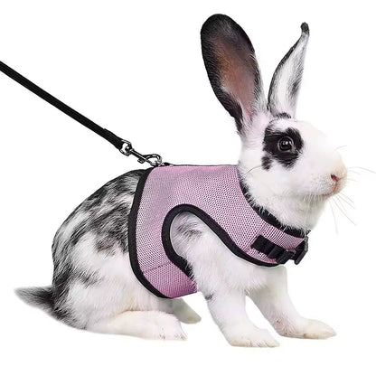 Stylish Vest Small Pet Carrier