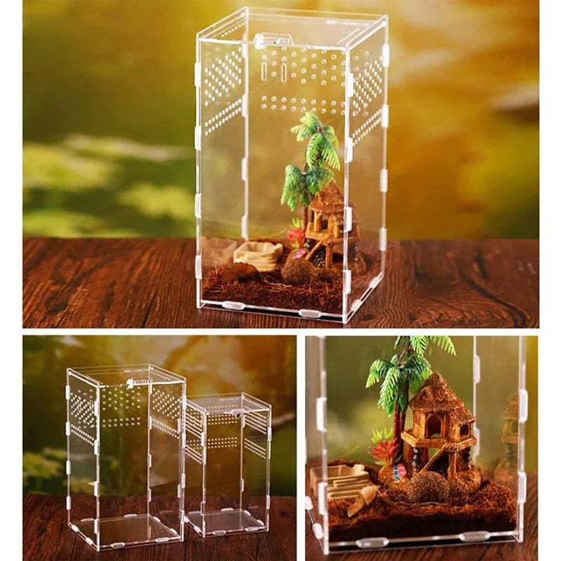 clear acrylic reptile breeding box