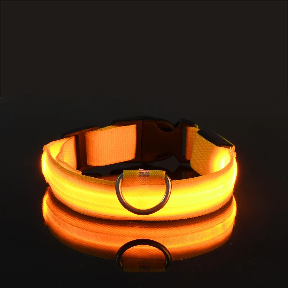 nylon led night safety pet collar