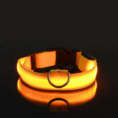 Nylon LED Night Safety Pet Collar