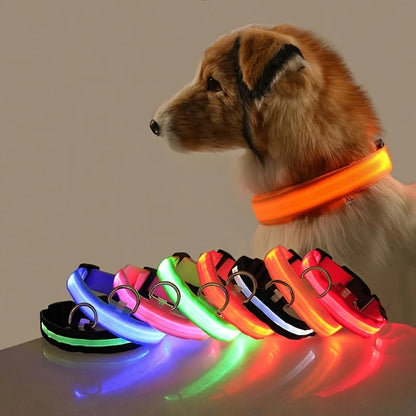 Nylon LED Night Safety Pet Collar