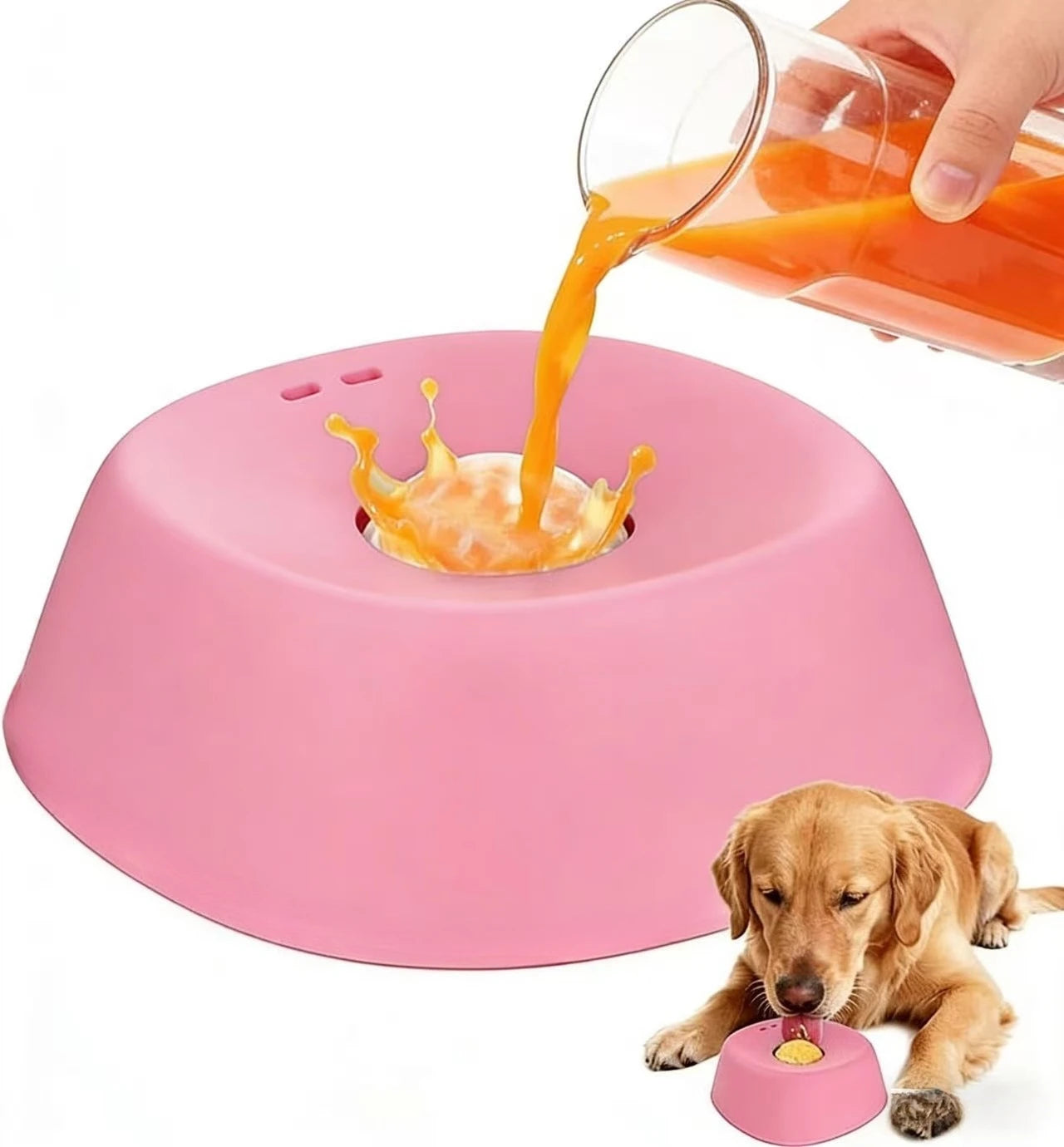 anti-choking slow feeder dog bowl