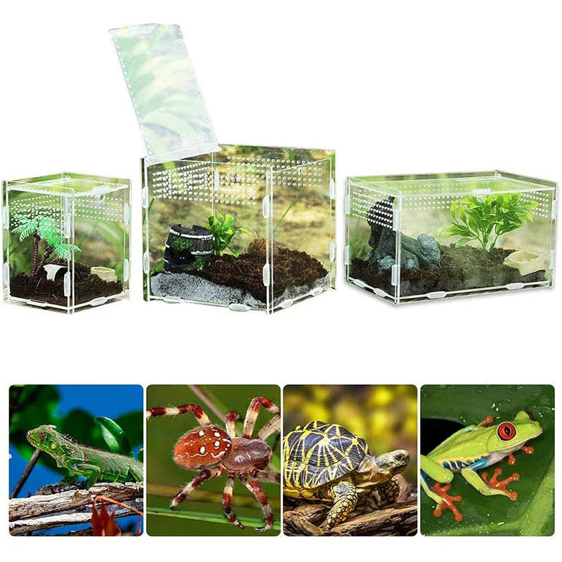 clear acrylic reptile breeding box