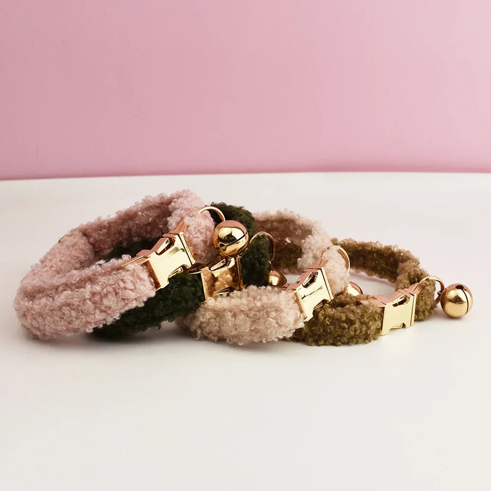 teddy cat collar with custom name plate