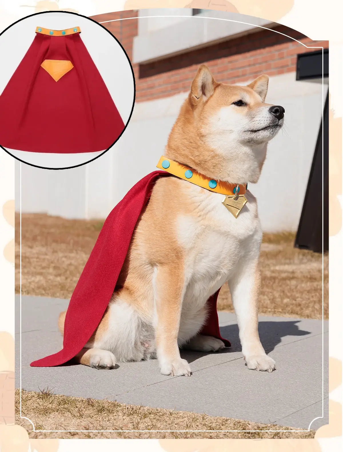 krypto the superdog pet costume