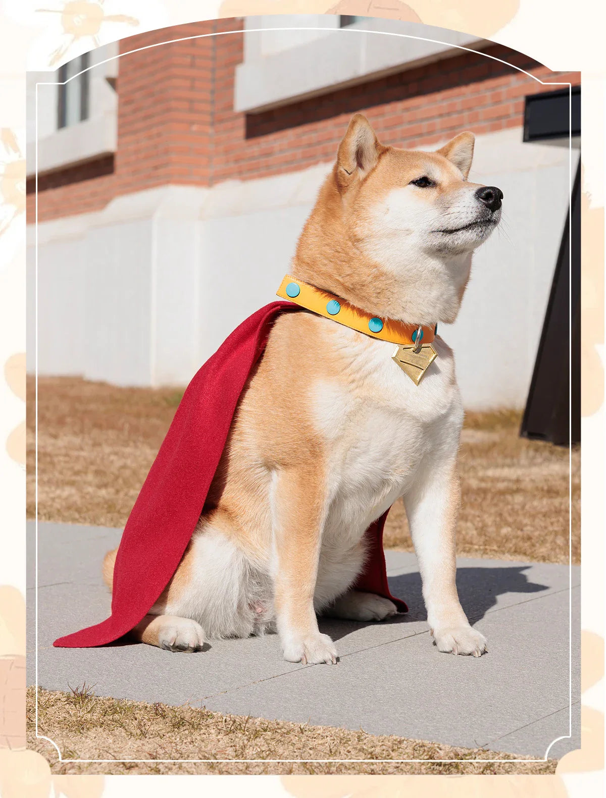 krypto the superdog pet costume