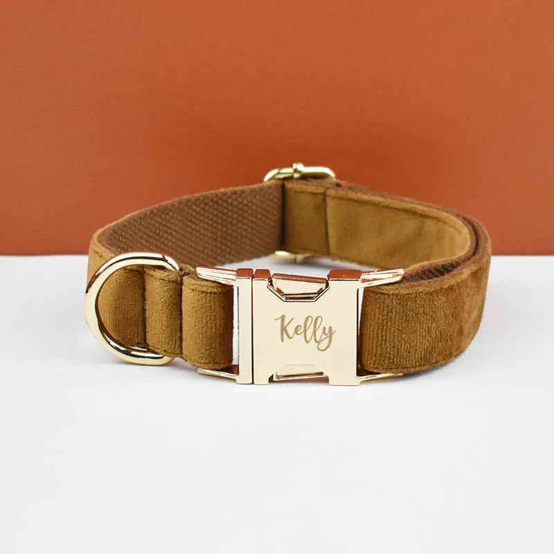 luxury personalised dog collar, harness & leash set