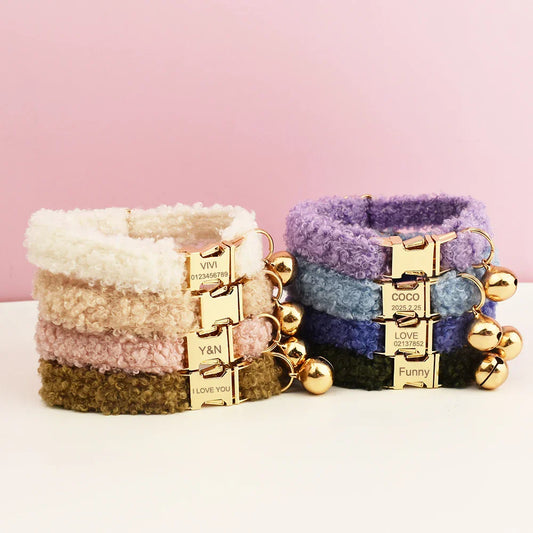 Teddy Cat Collar with Custom Name Plate