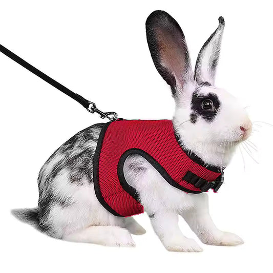 Stylish Vest Small Pet Carrier