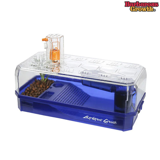 Transparent Turtle Tank Habitat