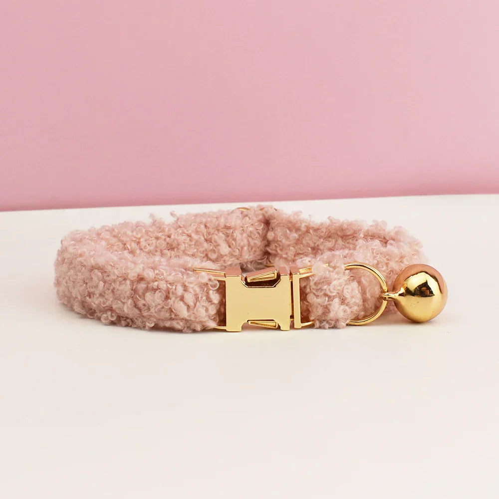 teddy cat collar with custom name plate
