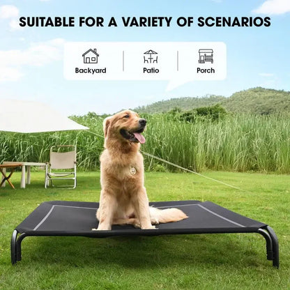 Elevated Dog Bed